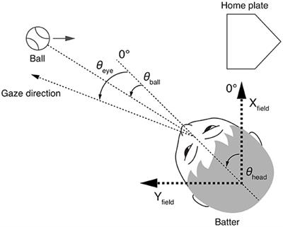 Temporally Coupled Coordination of Eye and Body Movements in Baseball Batting for a Wide Range of Ball Speeds